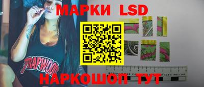 шишки Краснодар