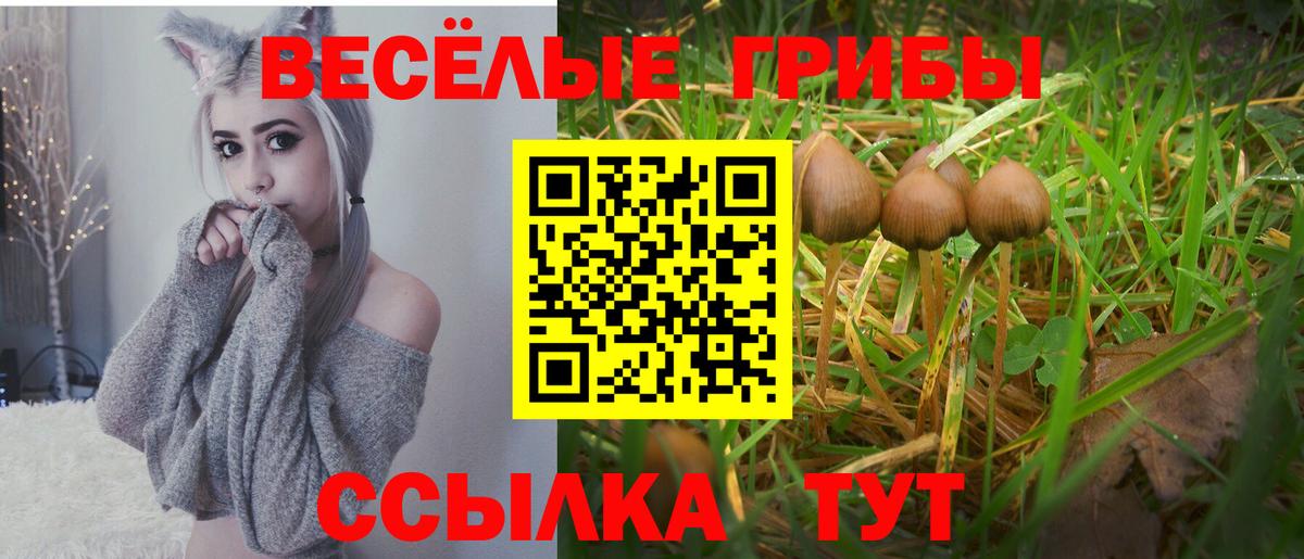 Псилоцибиновые грибы MAGIC MUSHROOMS  Вход с VPN  Ессентуки 